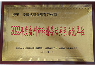 宿州市和諧勞動(dòng)關(guān)系示范單位