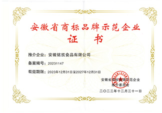安徽省商標(biāo)品牌示范企業(yè)